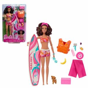 Barbie Surf-Puppe & Accy