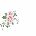 Tischkarten Blumen 6er  rundbogen