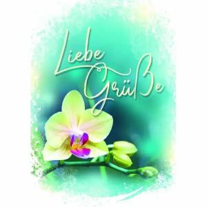 Grußkarte Lilie  Liebe Grüße
