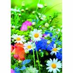 Klappkarte Blumenwiese 4016723456013