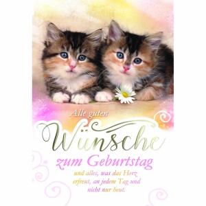 Geburtstagskarte Katzen