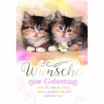 Geburtstagskarte Katzen