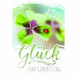 Geburtstagskarte  Kleeblatt Marienkäfer