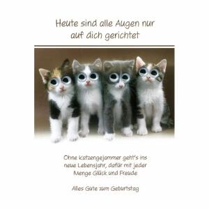 Geburtstagskarte Katzen  mit Kulleraugen
