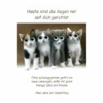 Geburtstagskarte Katzen  mit Kulleraugen