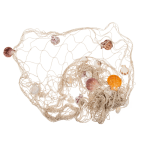 OOTB Deko-Fischnetz mit Muscheln ca. 100 x 200 cm