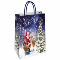 Geschenktasche Nico  36x12x41cm