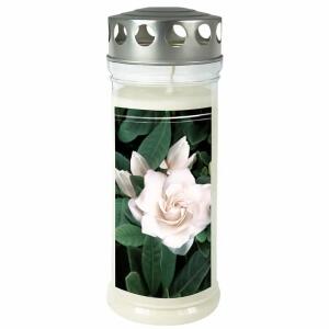 Gedenkkerze 70x170mm  Gardenia