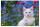 Veloflex Posterunterlage Katze 400x600