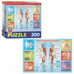 Puzzle Der menschliche