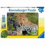 Puzzle 100 Teile