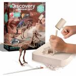 Ausgrabungsset 3D Puzzle