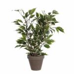 Kunstpflanze Ficus