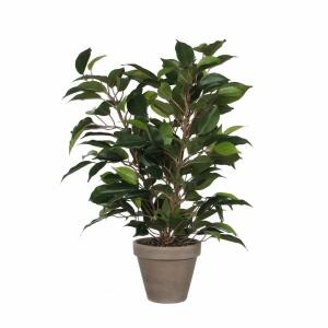 Kunstpflanze Ficus im