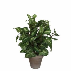 Kunstpflanze Syngonium