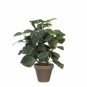 Kunstpflanze Pilea im