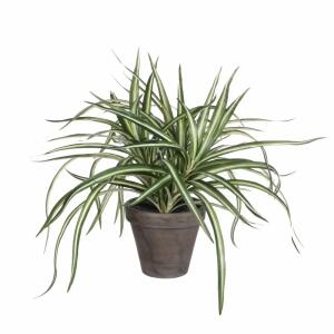 Kunstpflanze Dracena im