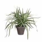 Kunstpflanze Dracena im