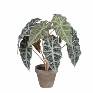 Kunstpflanze Alocasia im