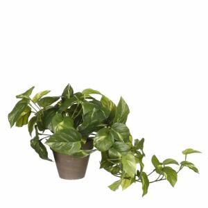 Kunstpflanze Pothos im