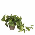 Kunstpflanze Pothos im