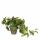 Kunstpflanze Pothos im