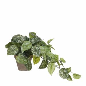 Kunstpflanze Scindapsus
