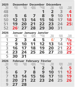 2026 GÜSS Ersatzkalendarium für 3-Monatswandkalender Metall