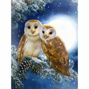 Diamond Painting Eulen  50x40cm, Inhalt: farbig sortierte Steine, eine Schale,, Stift, Wachs,, ab 5 Jahren