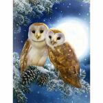 Diamond Painting Eulen  50x40cm, Inhalt: farbig sortierte...
