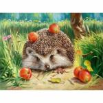 Diamond Painting Igel  40x30cm, Inhalt: farbig sortierte...