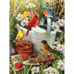 Malen nach Zahlen Junior  Vögel 33x24cm