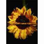 Diamond Painting  Sonnenblume 40x30cm, Inhalt: farbig...