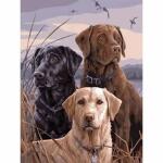 Diamond Painting Hunde  40x30cm, Inhalt: farbig sortierte...