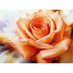 Diamond Painting  Orangene Rose 50x40cm, Inhalt: farbig...