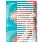 Register A4 PP 20 Taben  farbig/transparent blanko,...