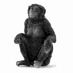 schleich Wild Life  Bonobo Weibchen 6cm, schleich