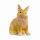schleich Farm World  Löwenkopfkaninchen 4,5cm, schleich