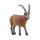 schleich Wild Life  Steinbock 3,2cm, schleich