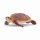 schleich Wild Life  Echte Karettschildkröte,  B/H/T: 55 x 20 x 65 mm, schleich