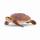 schleich Wild Life Echte Karettschildkröte, B/H/T: 55 x 20 x 65 mm,