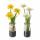 Kunst-Gänseblümchen/Glas  weiß/gelb 23cm sortiert, 2fach sortiert; Farben: schwarz, grün, transparent, weiß,, gelb; Material: Glas, Boltze