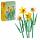 LEGO Creator  LEGO Narzissen, ab 8 Jahren,, LEGO