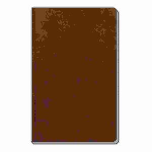 Adressbuch Soft Touch  Slim braun 8x15cm, Trötsch Verlag