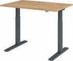 Schreibtisch elektr.höhenv. Asteiche/Gra