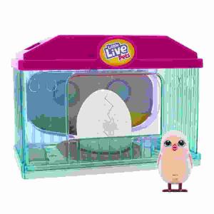 Little Live Pets Surprise  Chick Spielset mit Box