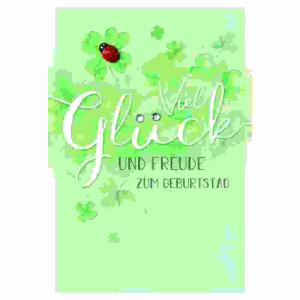 Glückwunschkarte  Geburtstag/Marienkäfer