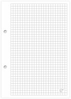 Interdruk  Ringbucheinlage A5 kariert 100 Blatt