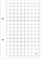 Interdruk Ringbucheinlagenblock A4 kariert 100 Blatt