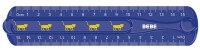 Interdruk Flexibles biegsames Lineal 15cm BeBe Kinder